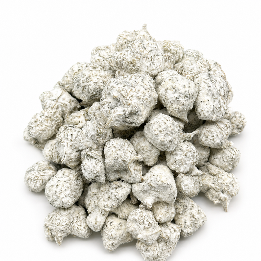Cotton Candy Toast Snow Cap(Hybrid)