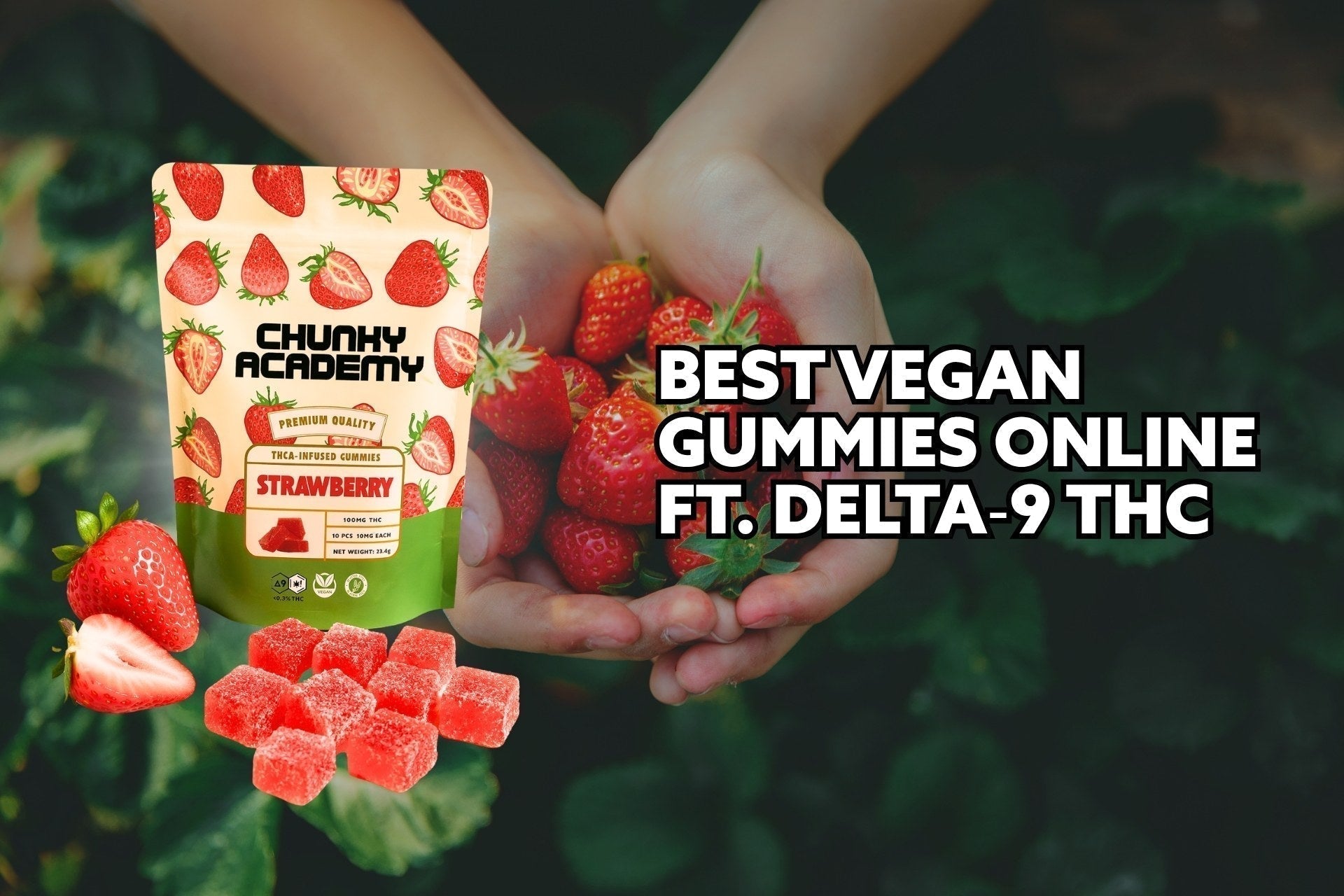 Best Vegan Gummies Online Ft. Delta-9 THC
