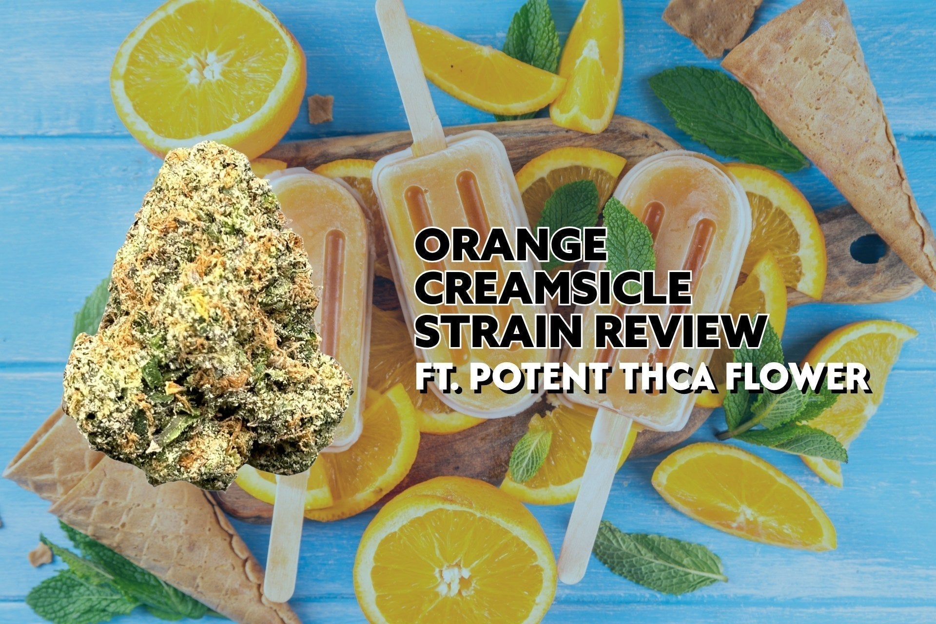 Orange Creamsicle Strain Review Ft. Potent THCa Flower