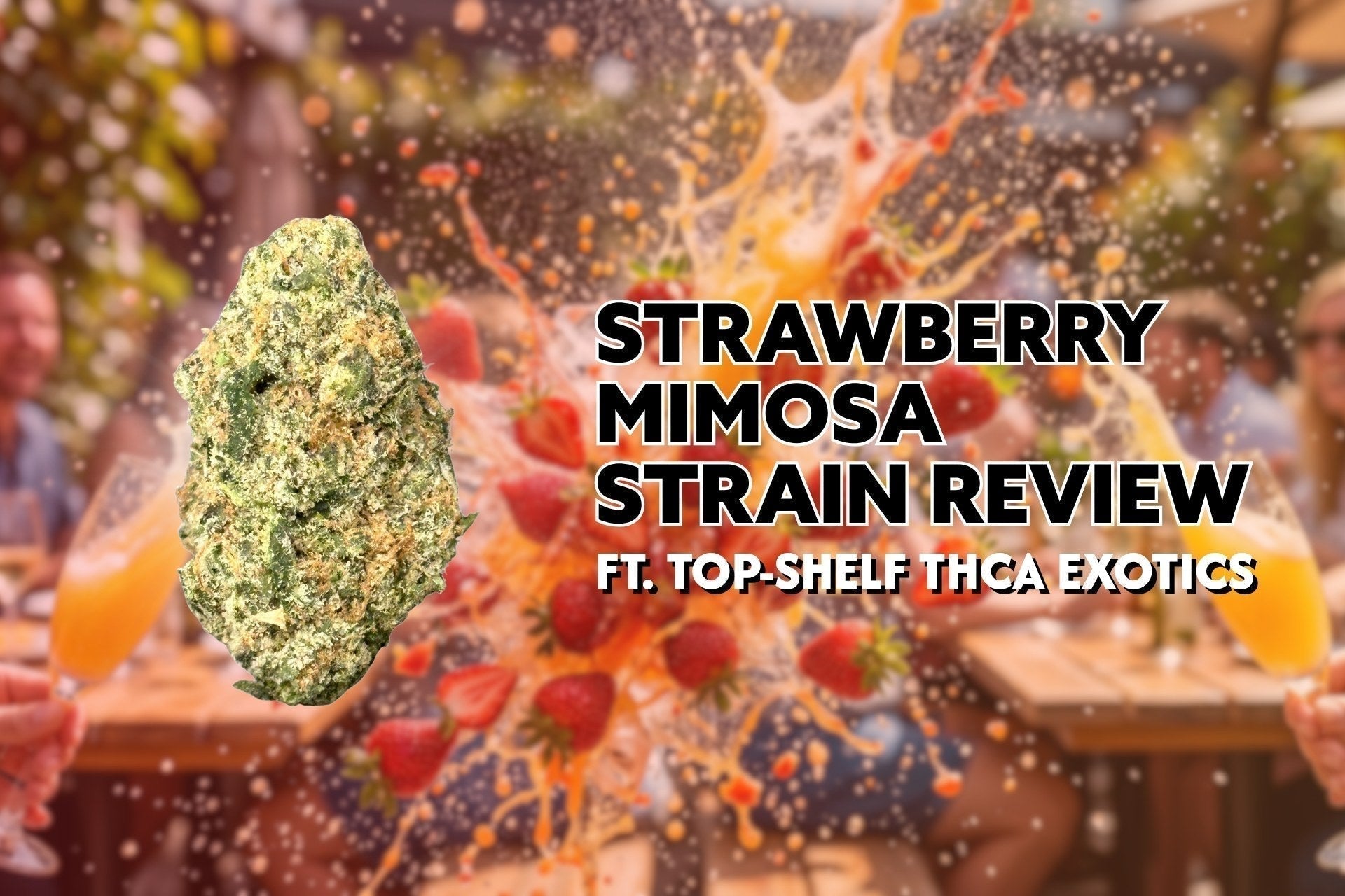 Strawberry Mimosa Strain Review Ft. Top-Shelf THCa Exotics