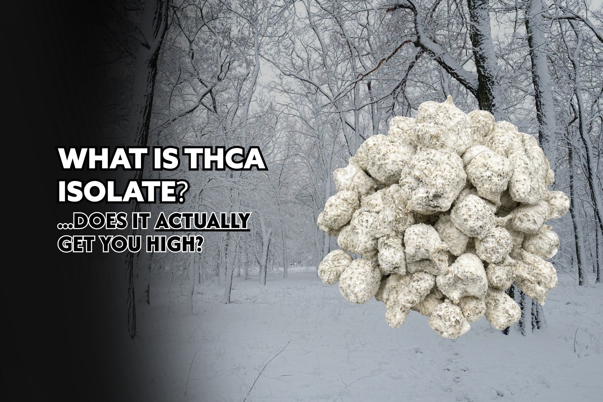 What is THCa Isolate? Does It Get You High?