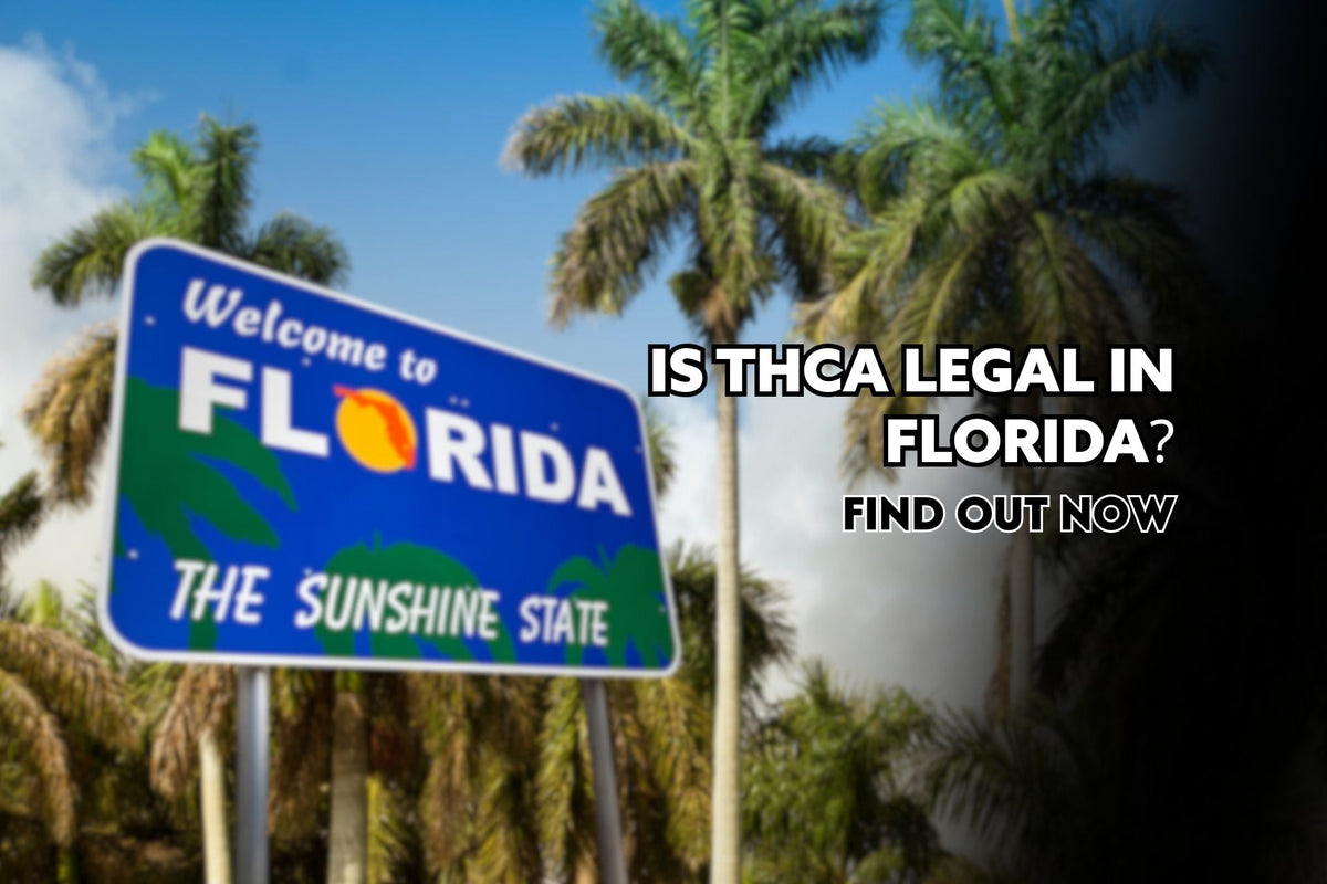 Is THCa Legal In Florida? Find Out Now
