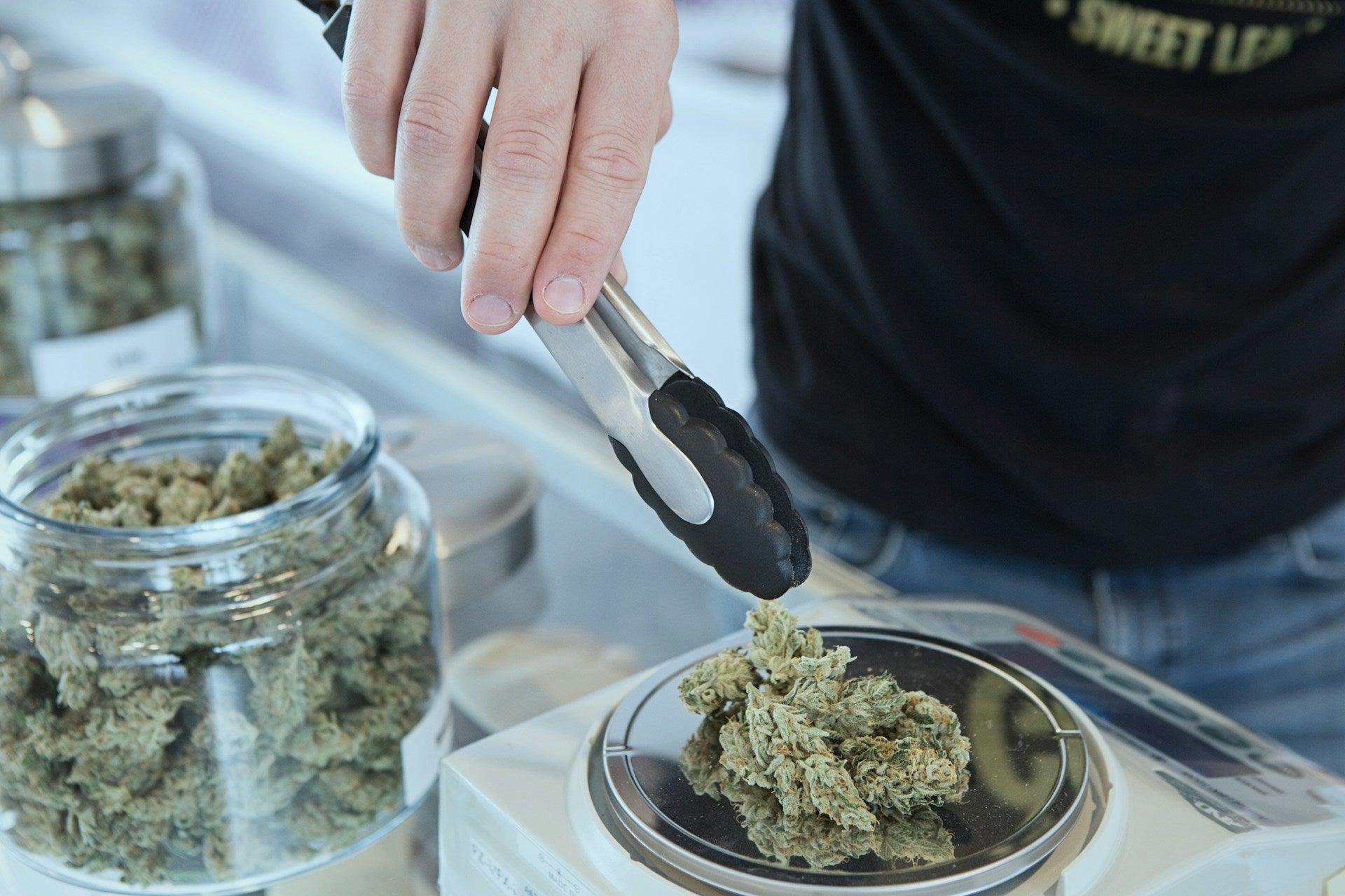 THCa 101: Everything You Need To Know - Chunky Academy