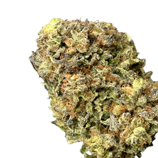 Nightmare Haze (Sativa Hybrid)
