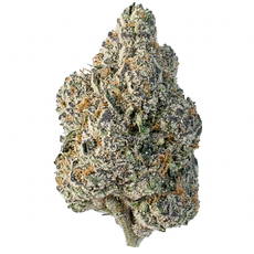 Very Berry Xtreme (Hybrid)