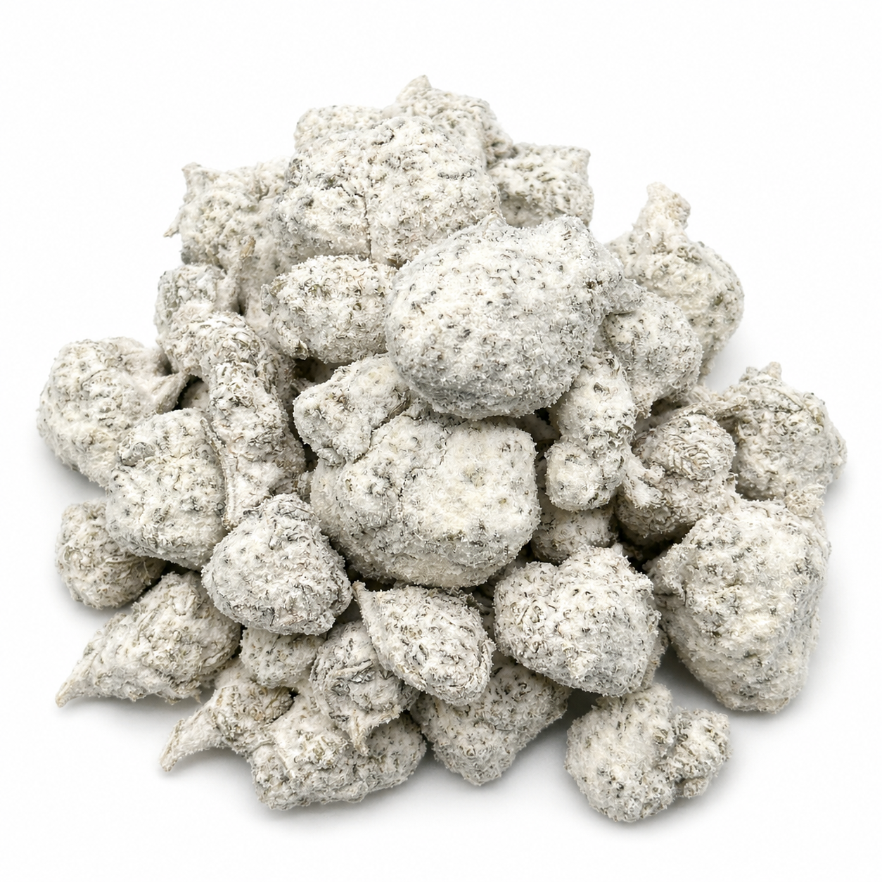 Solar Sherbet Snow Caps(Hybrid)