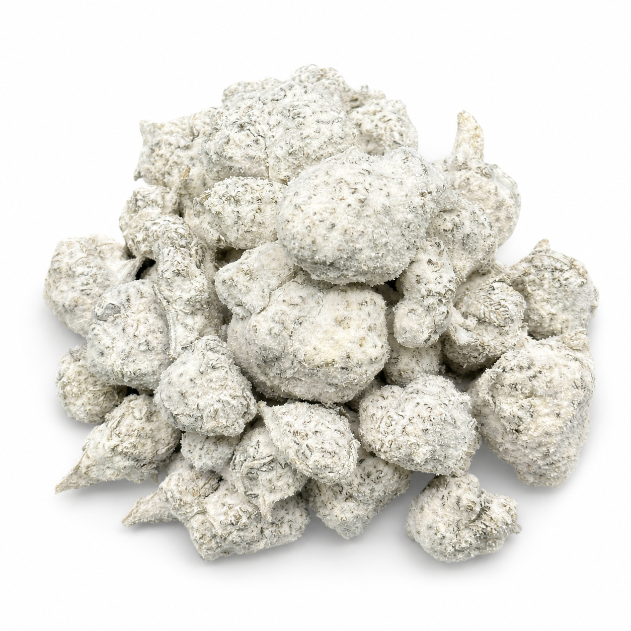 Solar Sherbet Snow Caps(Hybrid)