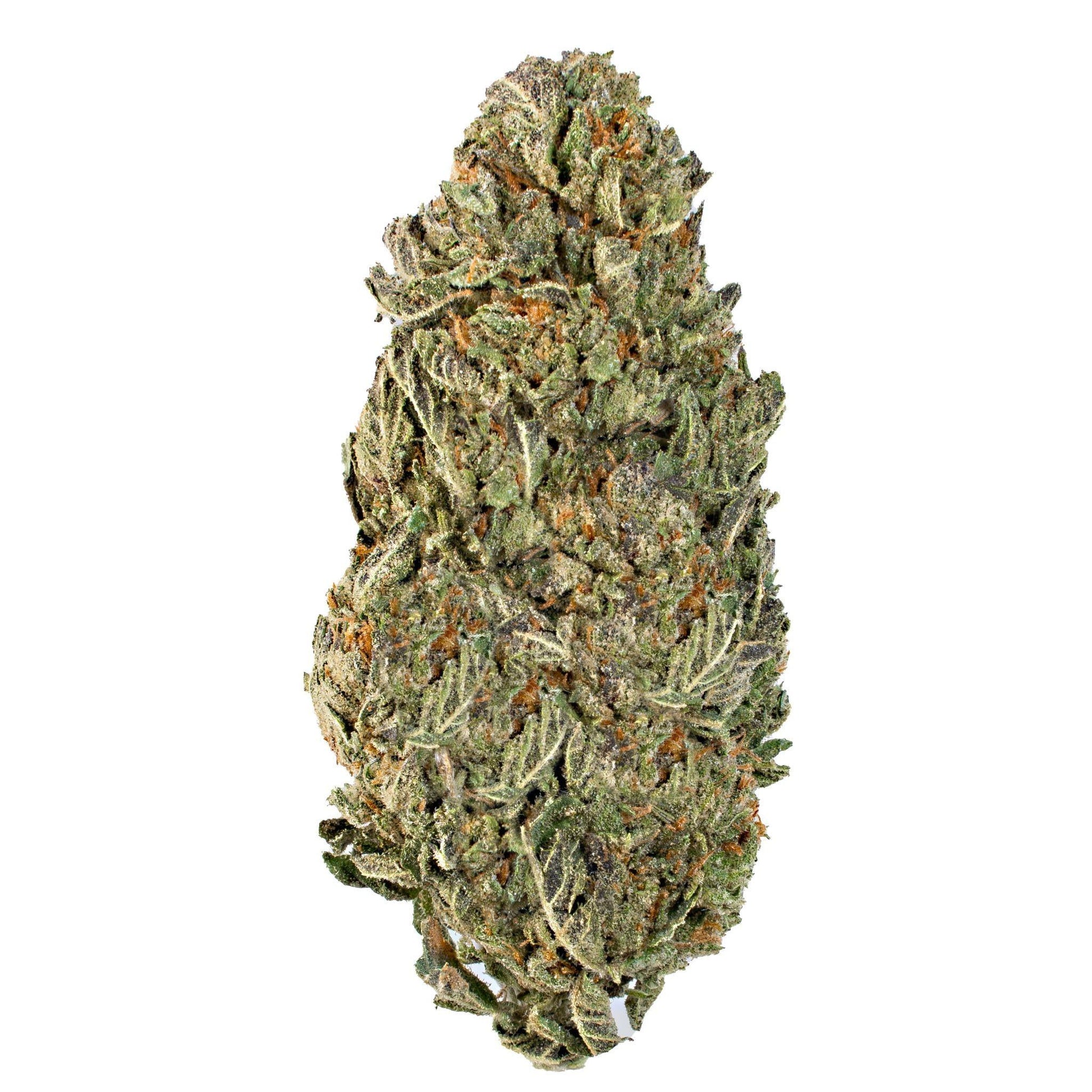 Brain Freeze Gelato ( Indica ) - Chunky Academy