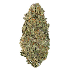 Brain Freeze Gelato ( Indica ) - Chunky Academy