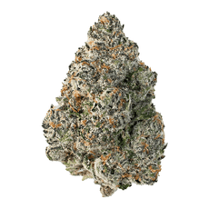 Hi Chew Cherry ( Indica Hybrid ) - Chunky Academy