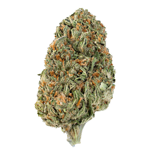 Permanet Rainbow ( Hybrid ) - Chunky Academy