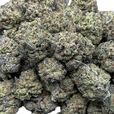 Candy Floss Gelato-Hybrid(Medium)
