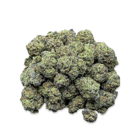 Sugar Halo(Small)-Hybrid
